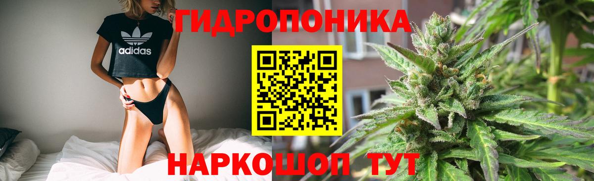 Каннабис конопля Саратов